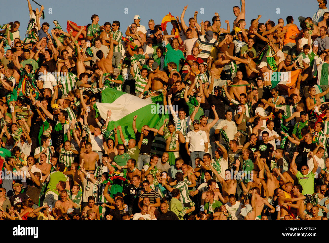 Real Betis Balompié football club fans hoisting Andalusian flags in Ramón Sánchez-Pizjuan stadium, Seville, Andalusia, Spain, E Stock Photo