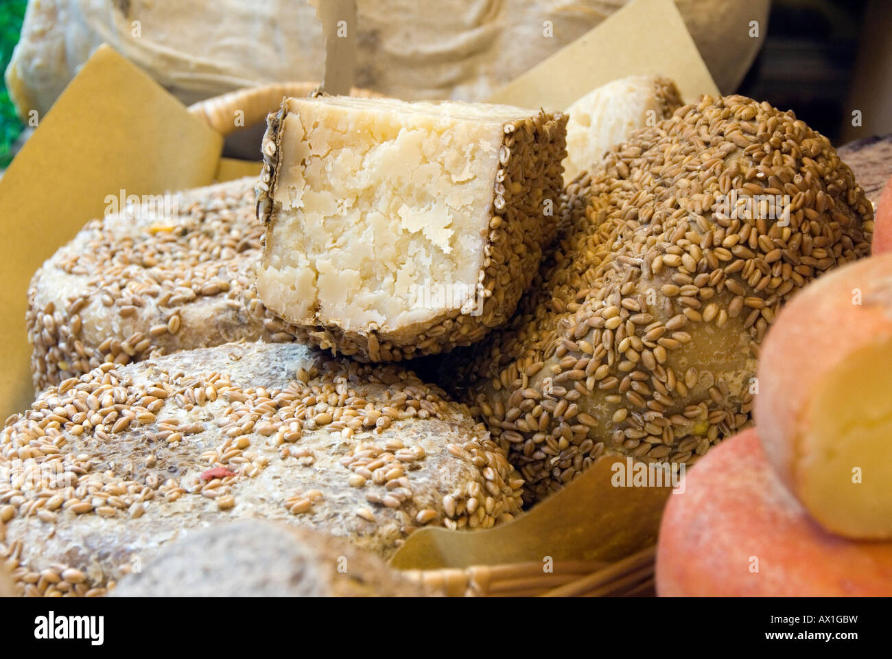 Pecorino Cheese with a grain covered rind Stock Photo