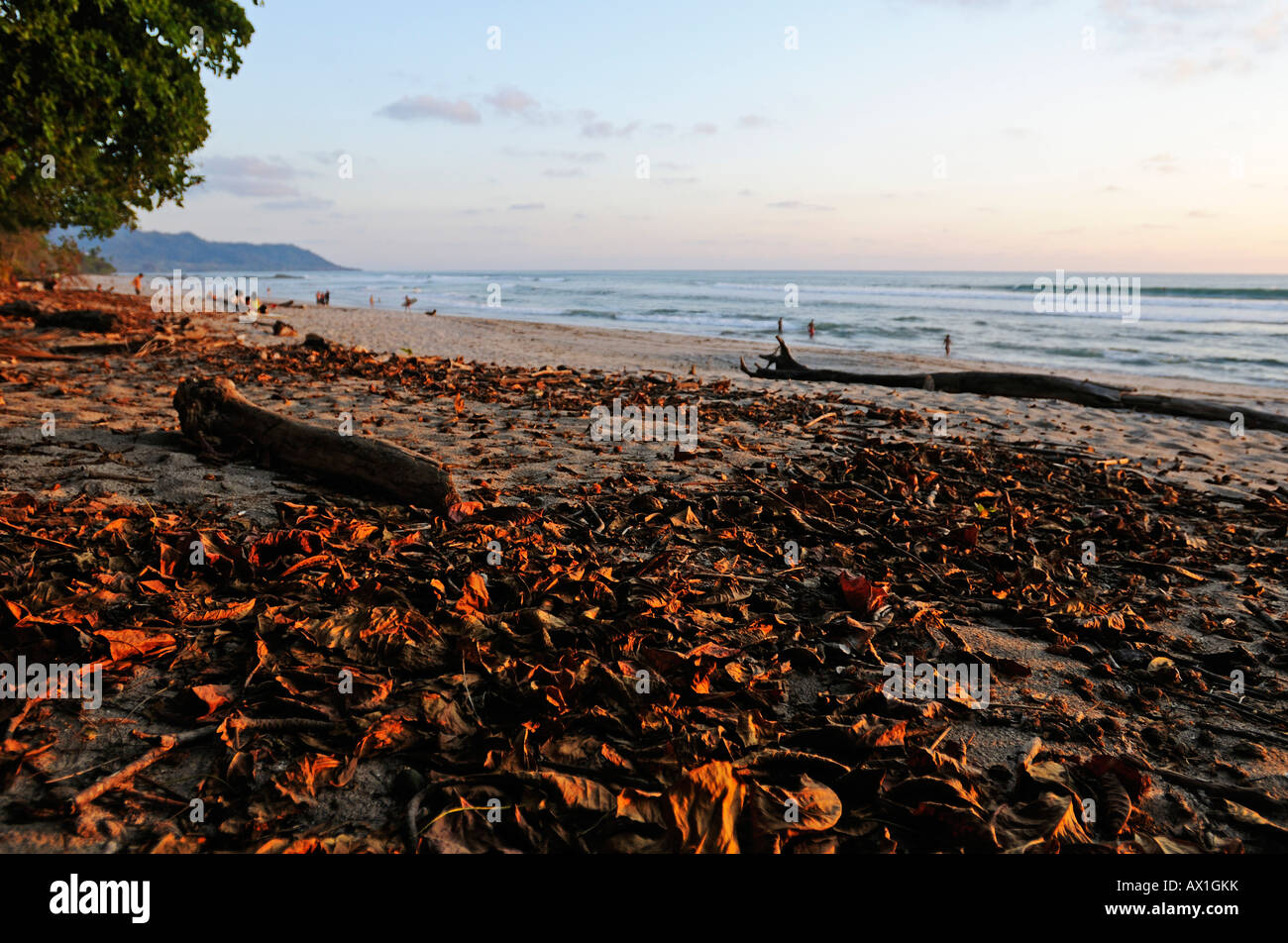 Beach of Santa Teresa, Mal Pais, Nicoya Peninsula, Costa Rica, Central America Stock Photo
