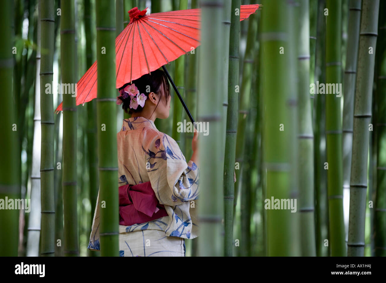 A woman wearing a kimono and standing in a bamboo grove Stock Photo