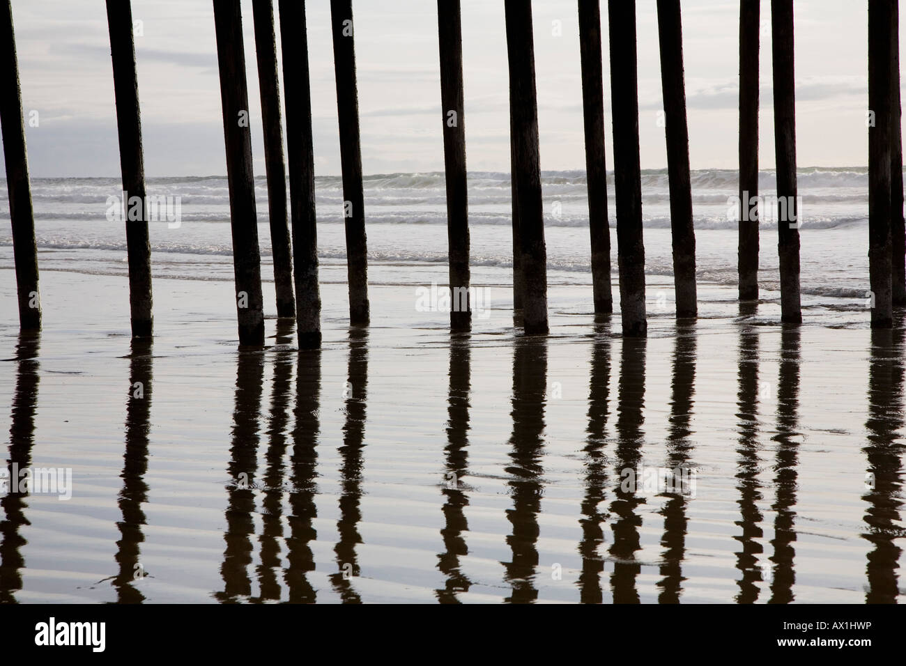 Wooden stilts in the sea Stock Photo - Alamy