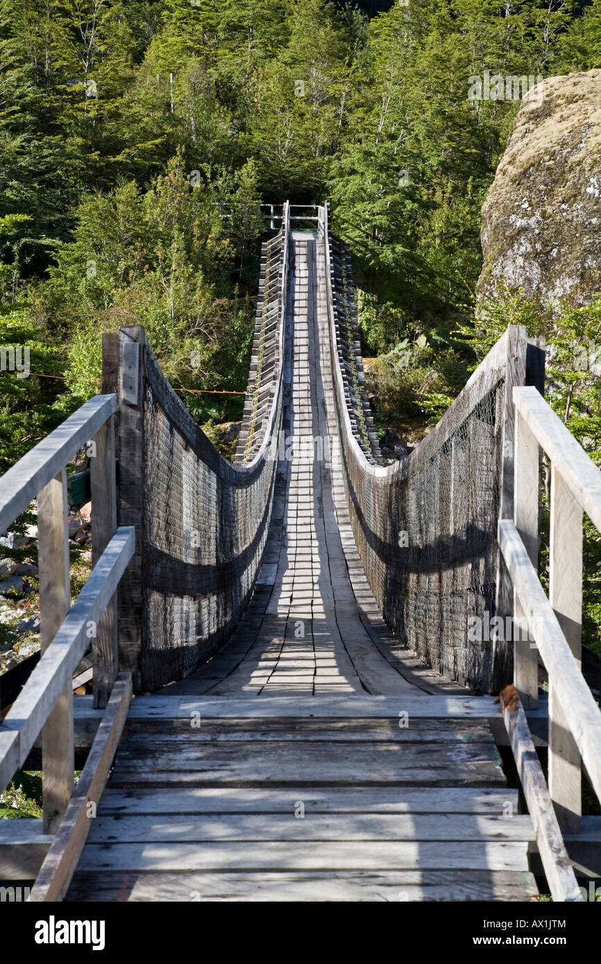 Plank bridge, Park Queulat, Carretera Austral, Patagonia, Chile, South America Stock Photo