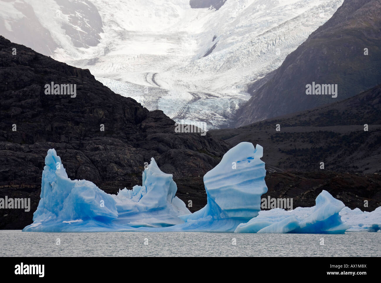 Iceberg and glacier in the lake Lago Argentino, national park Los Glaciares, (Parque Nacional Los Glaciares), Patagonia, Argent Stock Photo