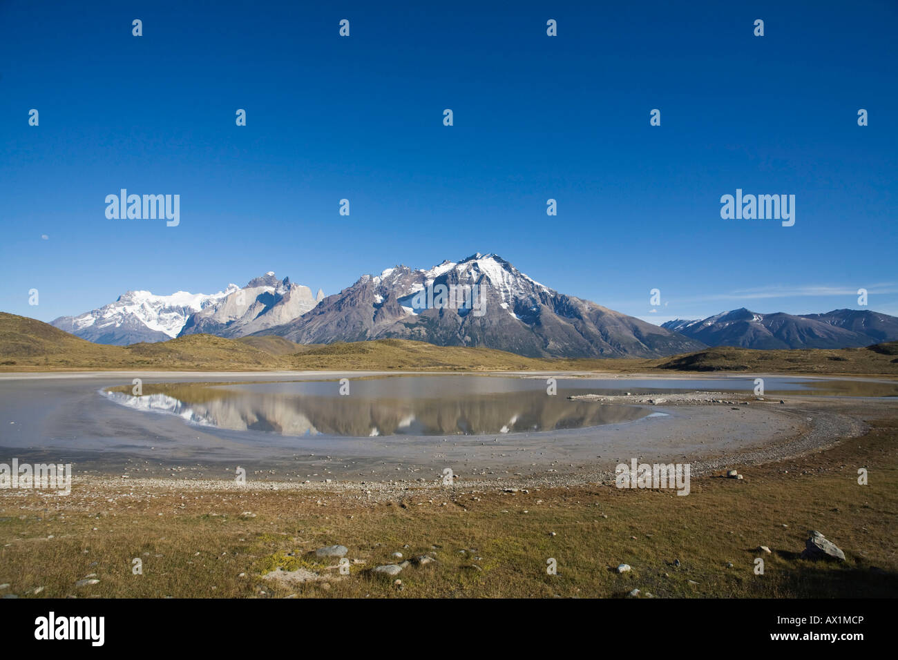 See landscape at the Torres del Paine massif, national park Torres del Paine, Patagonien, Chile, South America Stock Photo