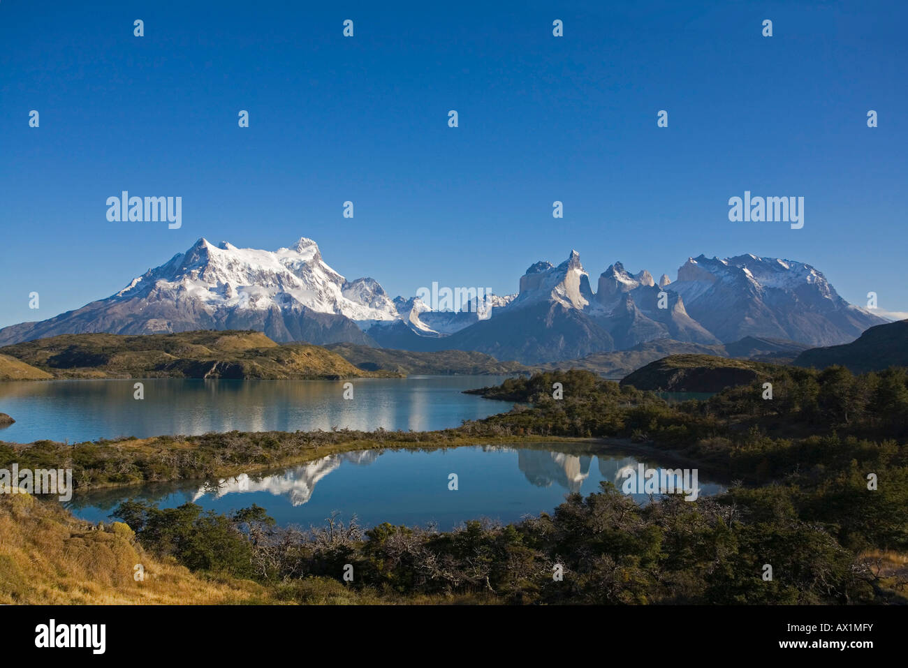 Landscape at the Torres del Paine mountains, National Park Torres del Paine, Patagonia, Chile, South America Stock Photo
