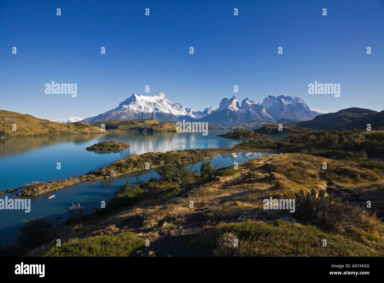 Landscape at the Torres del Paine mountains, National Park Torres del Paine, Patagonia, Chile, South America Stock Photo