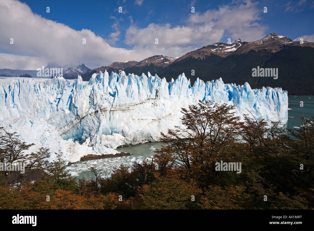 Autumn at the glacier Perito Moreno, National Park Los Glaciares ...