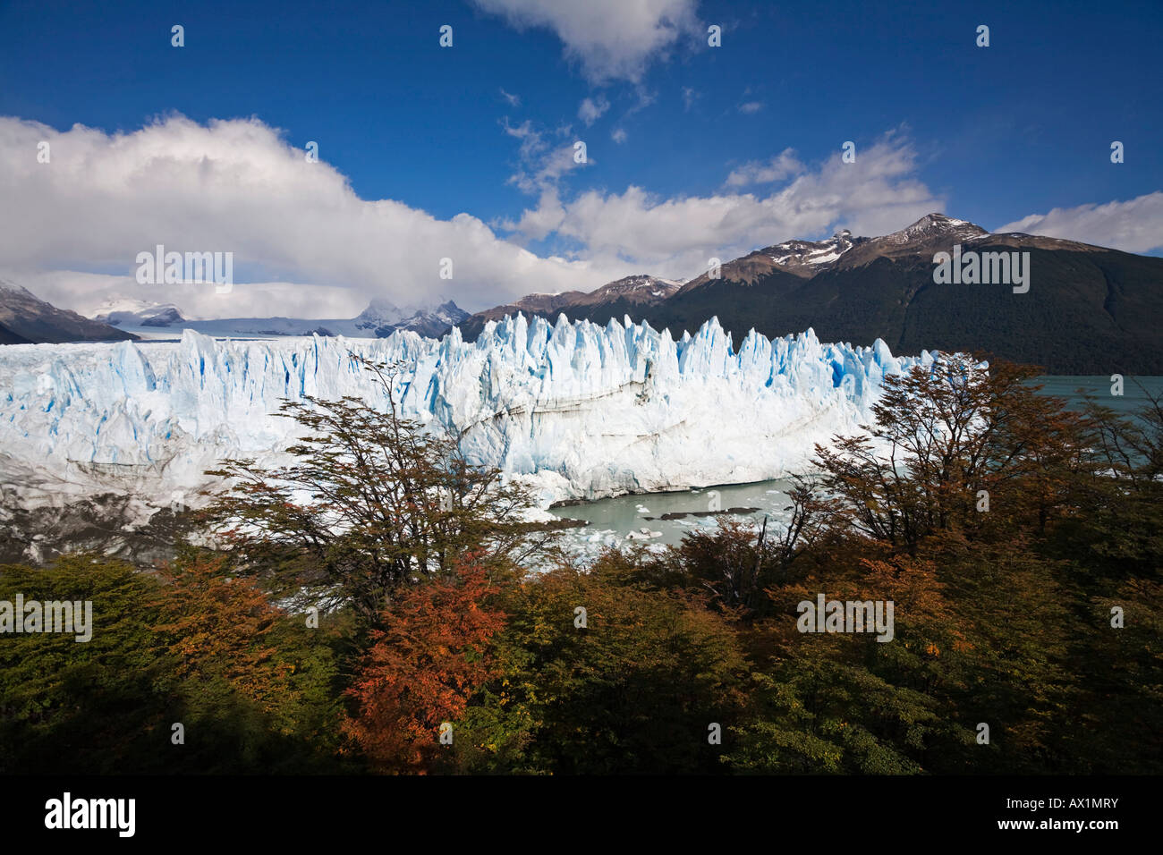 Autumn at the glacier Perito Moreno, National Park Los Glaciares ...