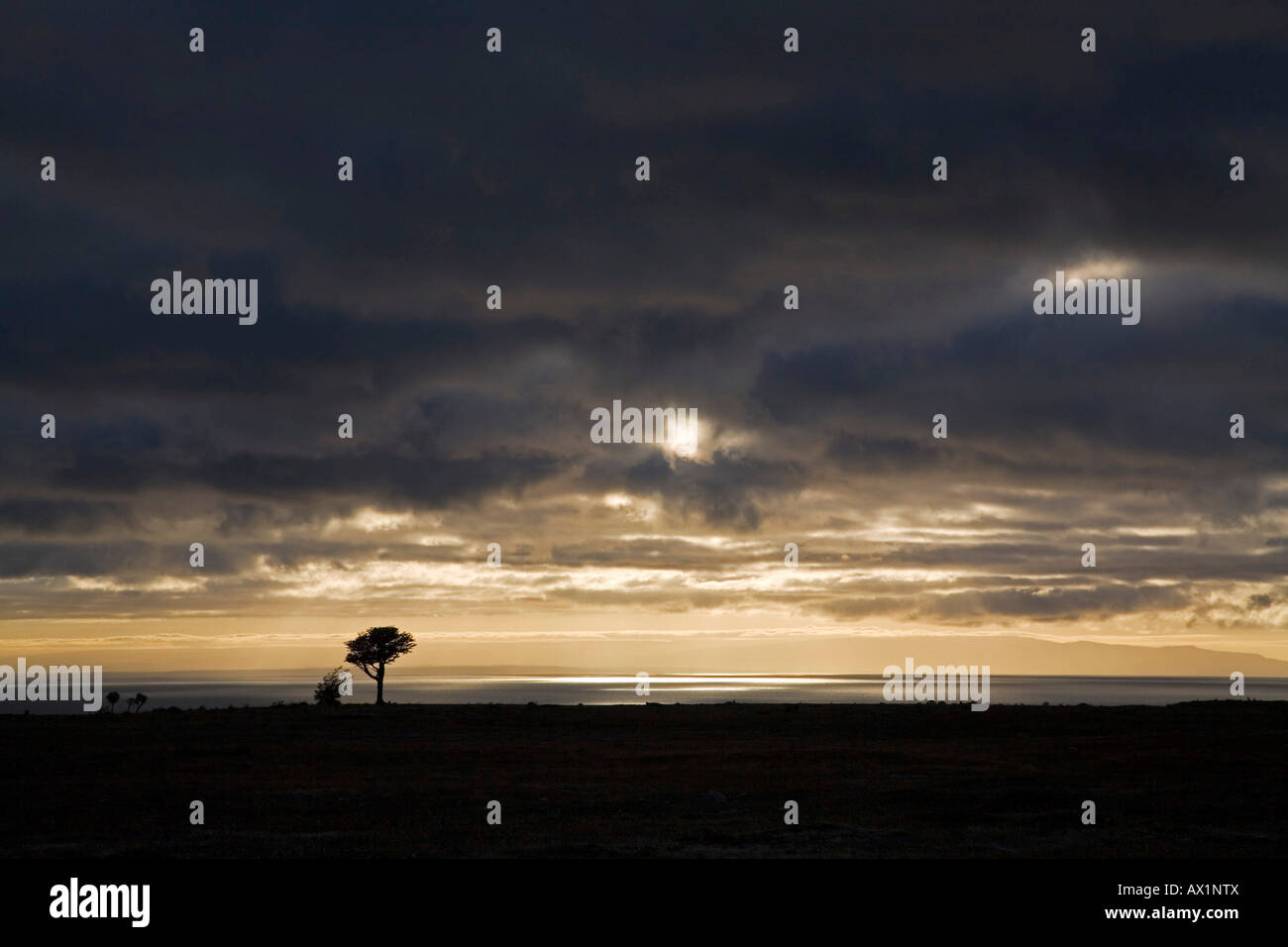 Morning Light, Atlantic Ozean, Chile, Patagonia, South America Stock Photo
