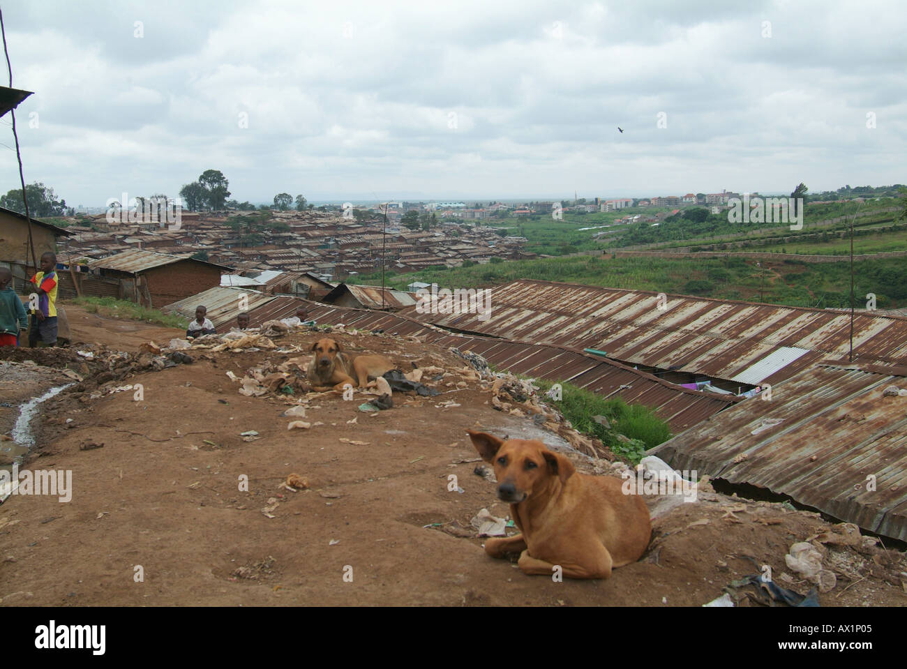 Streets and slums Stock Photo - Alamy