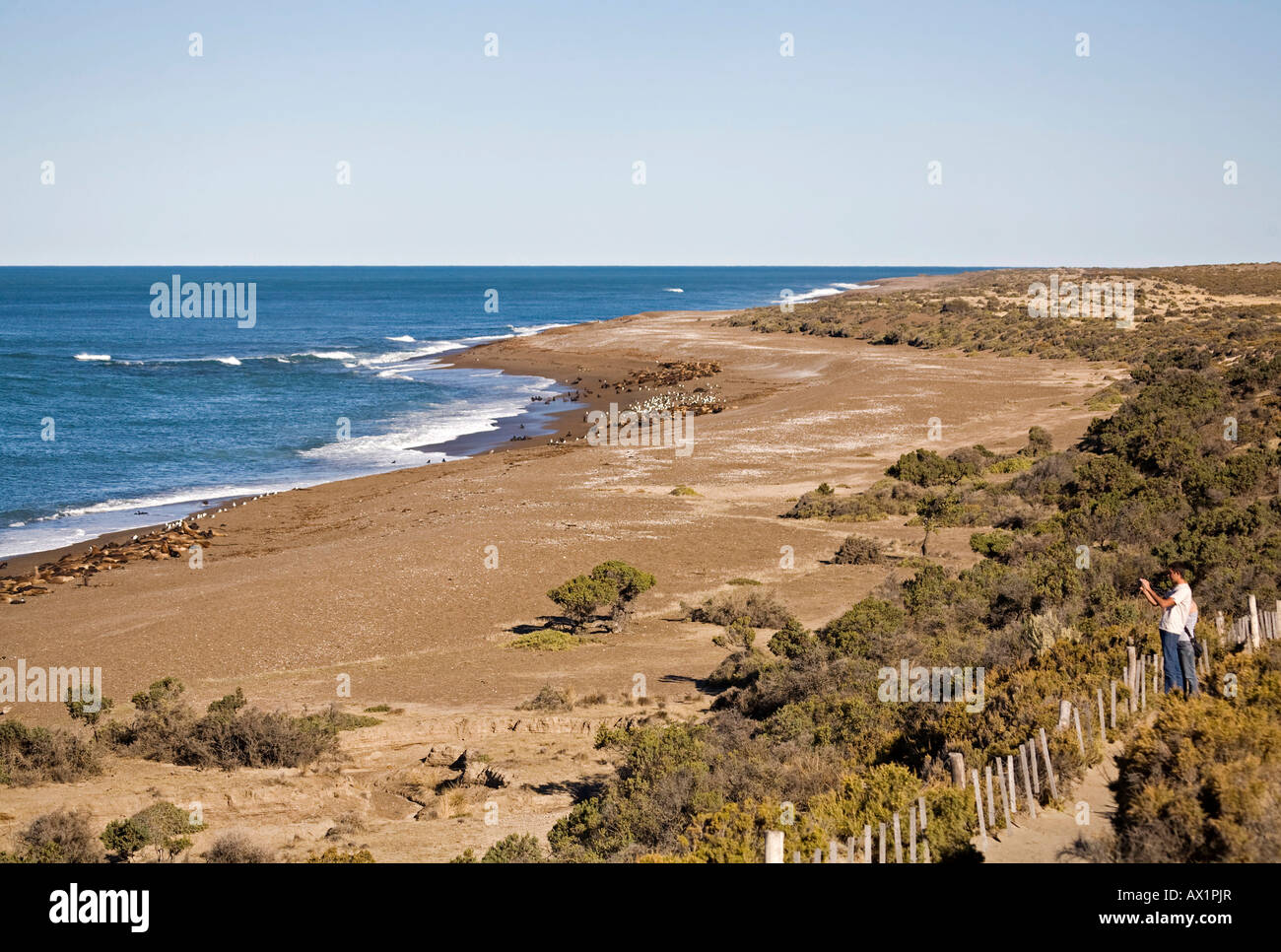 Beach from Punta Norte, peninsula Valdes, Patagonia, east coast, Atlantic Ozean, Argentina, South America Stock Photo
