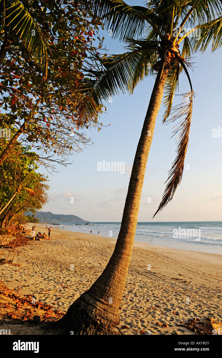 Beach of Santa Teresa, Mal Pais, Nicoya Peninsula, Costa Rica, Central America Stock Photo