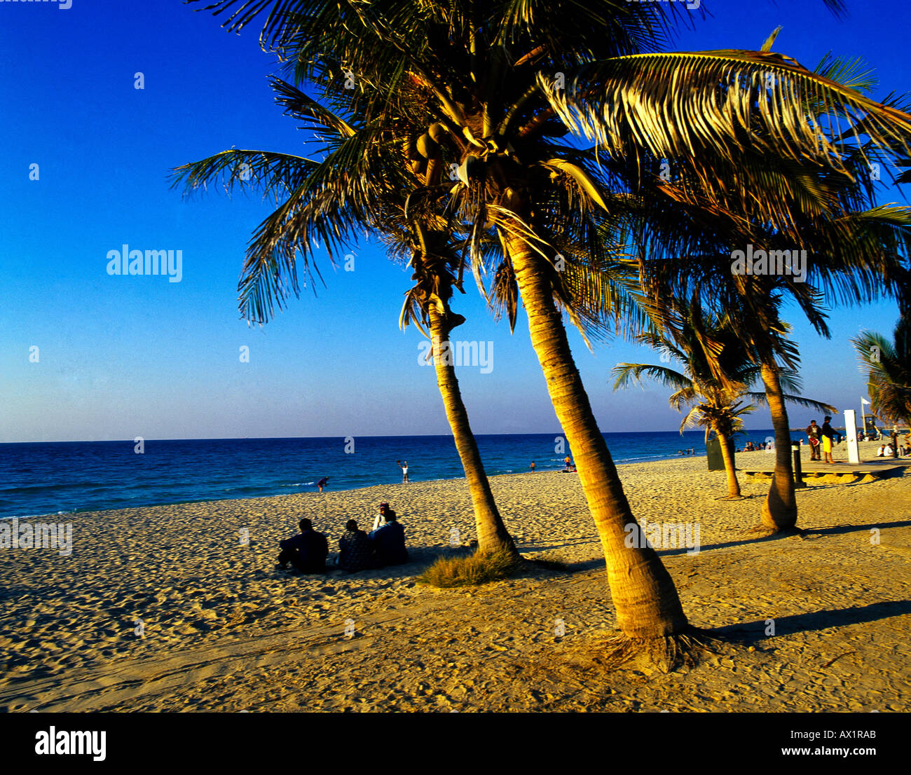 Dubai Uae Jumeira Beach Park People In Shade Of Palm Tree