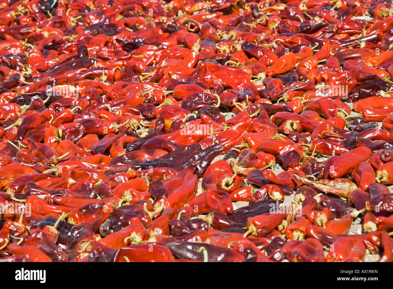 Gemuese Paprika High Resolution Stock Photography and Images - Alamy