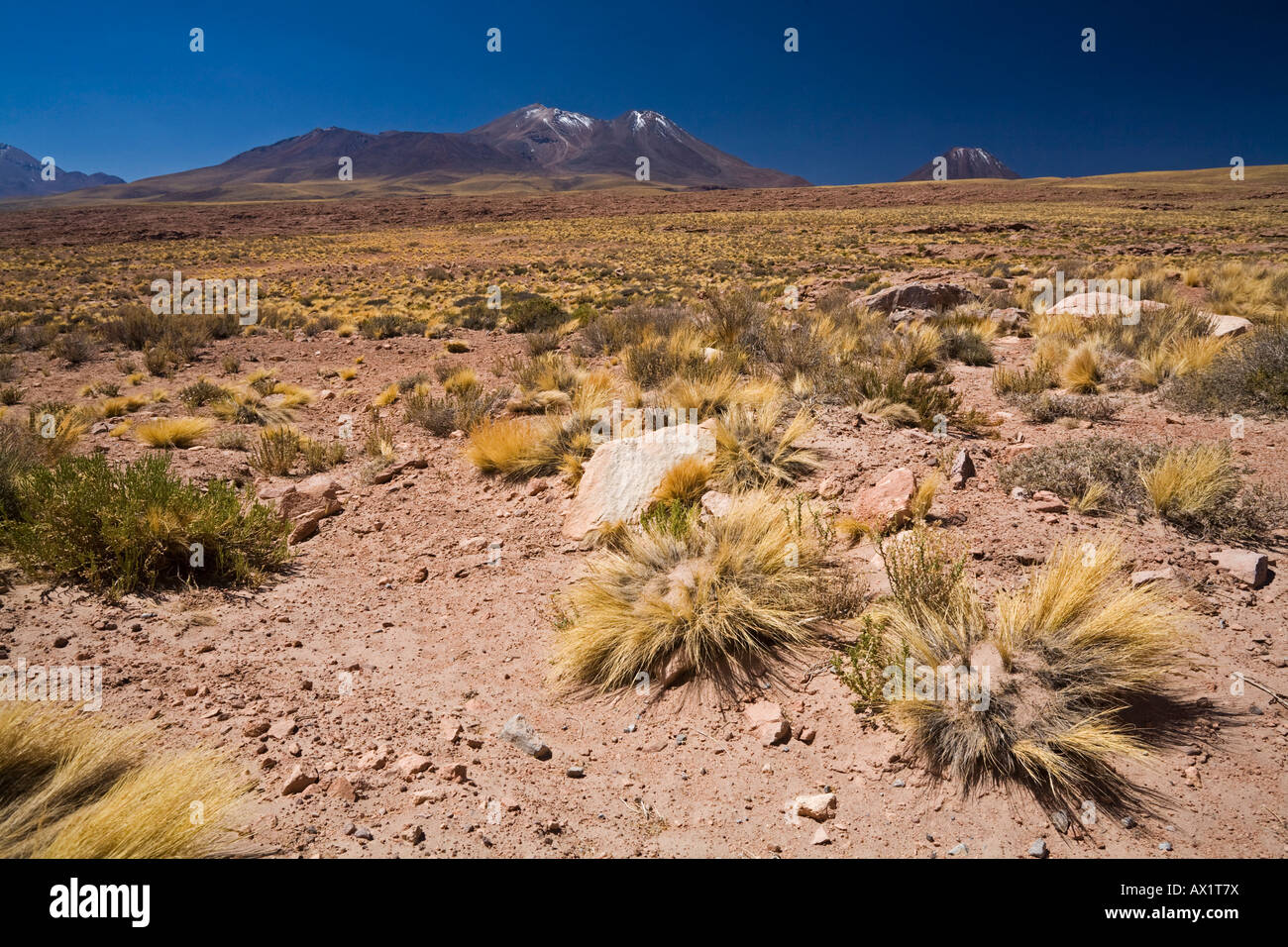 Desert landscape with the mountains Cerro Miscanti and Cerro Meniques, Altiplano, Chile, South America Stock Photo