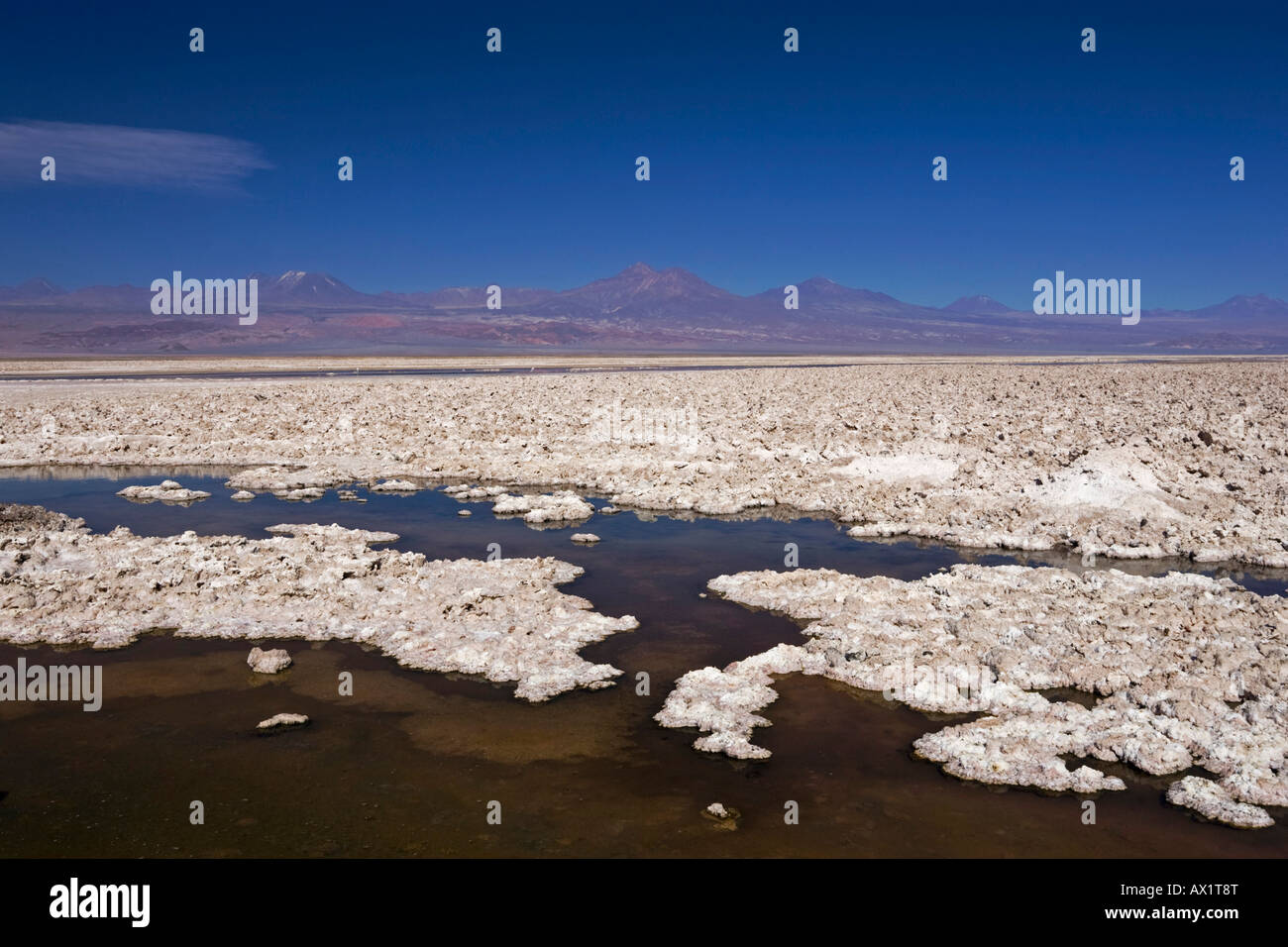 Laguna Lago Chaxa, salt lake Salar de Atacama, Chile, South America Stock Photo