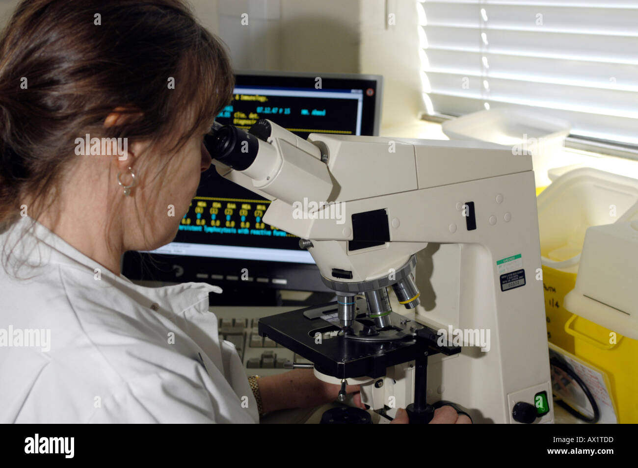Lab technician at microscope Stock Photo - Alamy