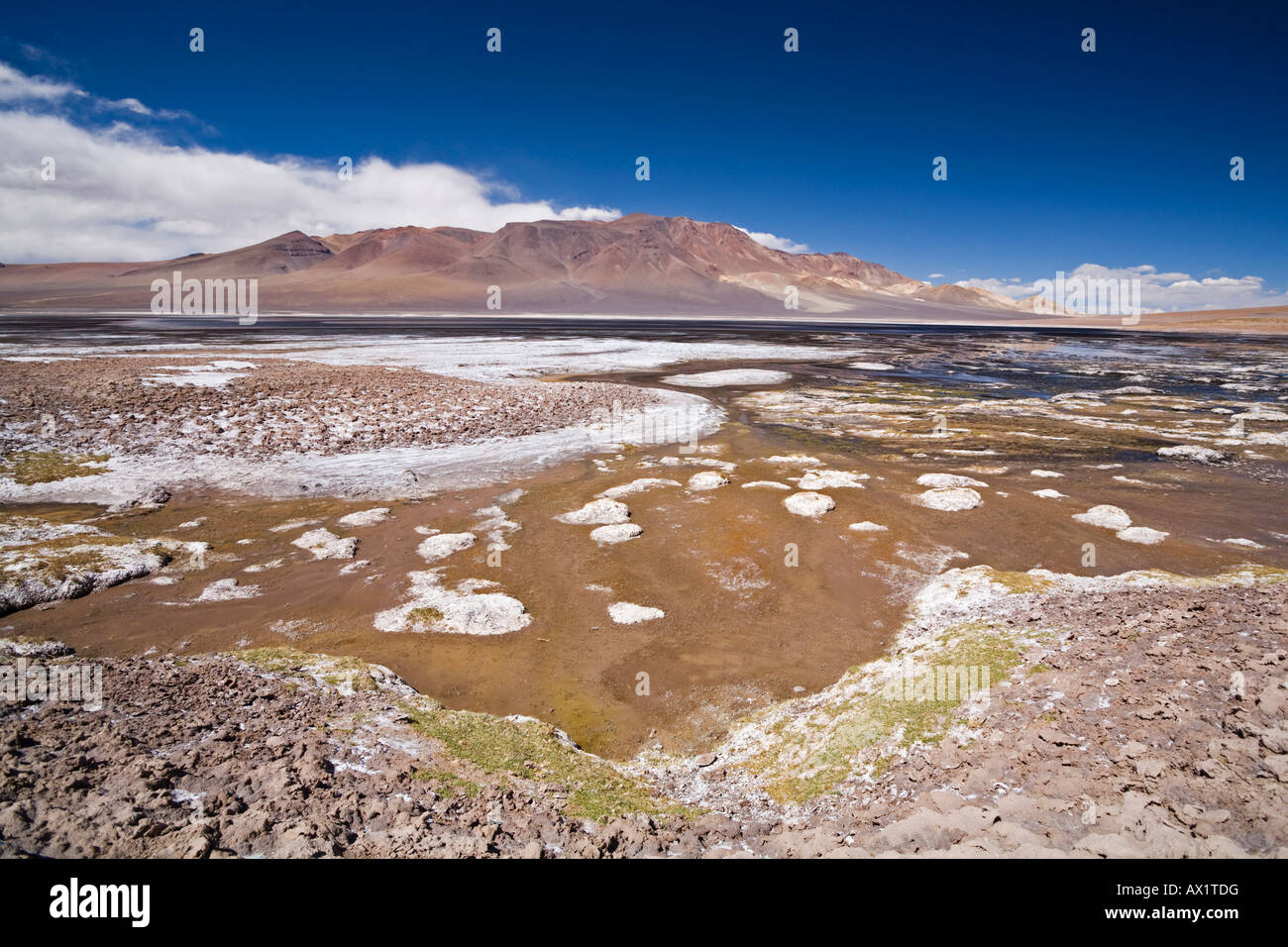 Multi-colored salt lake Salar de Aguas Calientes, Jama pass (Paso de Jama), Altiplano, Chile, South America Stock Photo