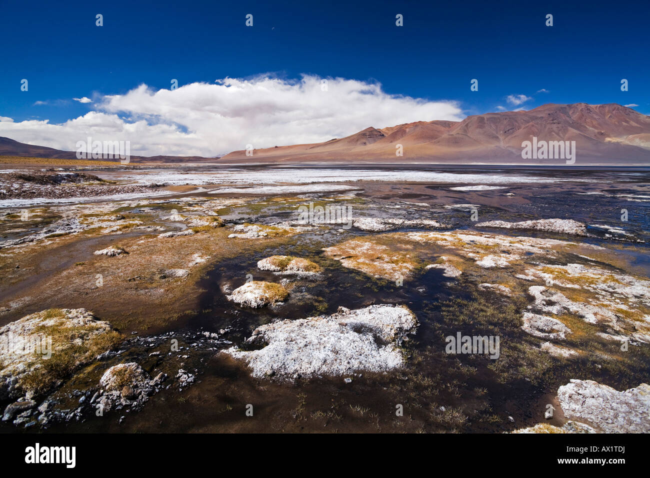 Multi-colored salt lake Salar de Aguas Calientes, Jama pass (Paso de Jama), Altiplano, Chile, South America Stock Photo