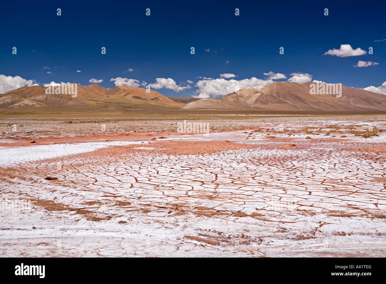 Desert landscape with seared earth, Jama pass (Paso de Jama), Argentina
