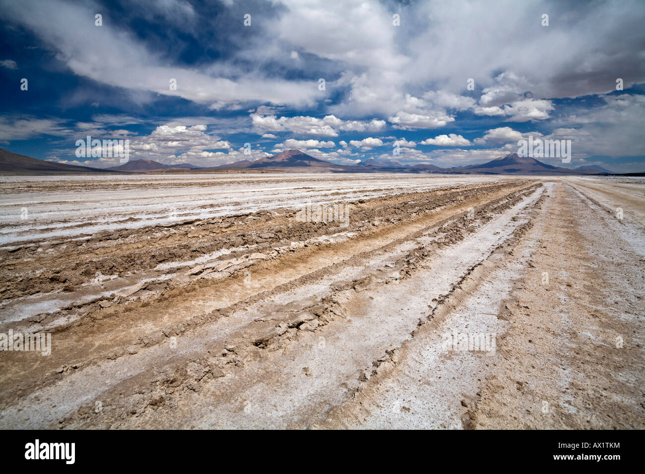 Extended tracks through a salt lake, Altiplano, Bolivia, South America Stock Photo