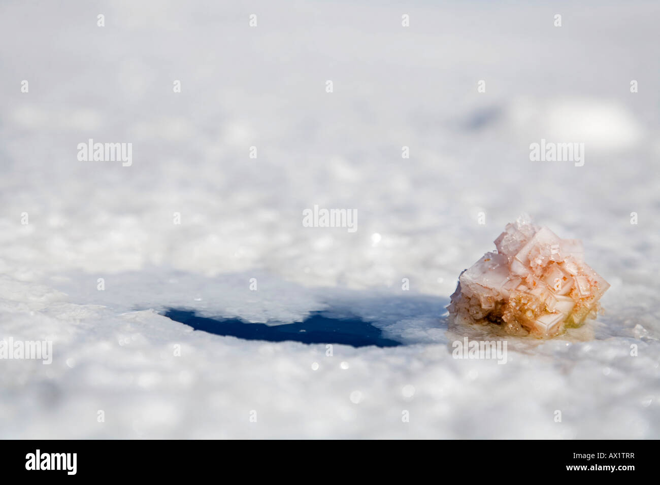 Salt crystal in front of a hole in the salt crust, salt lake Salar de Uyuni, Altiplano, Bolivia, South America Stock Photo