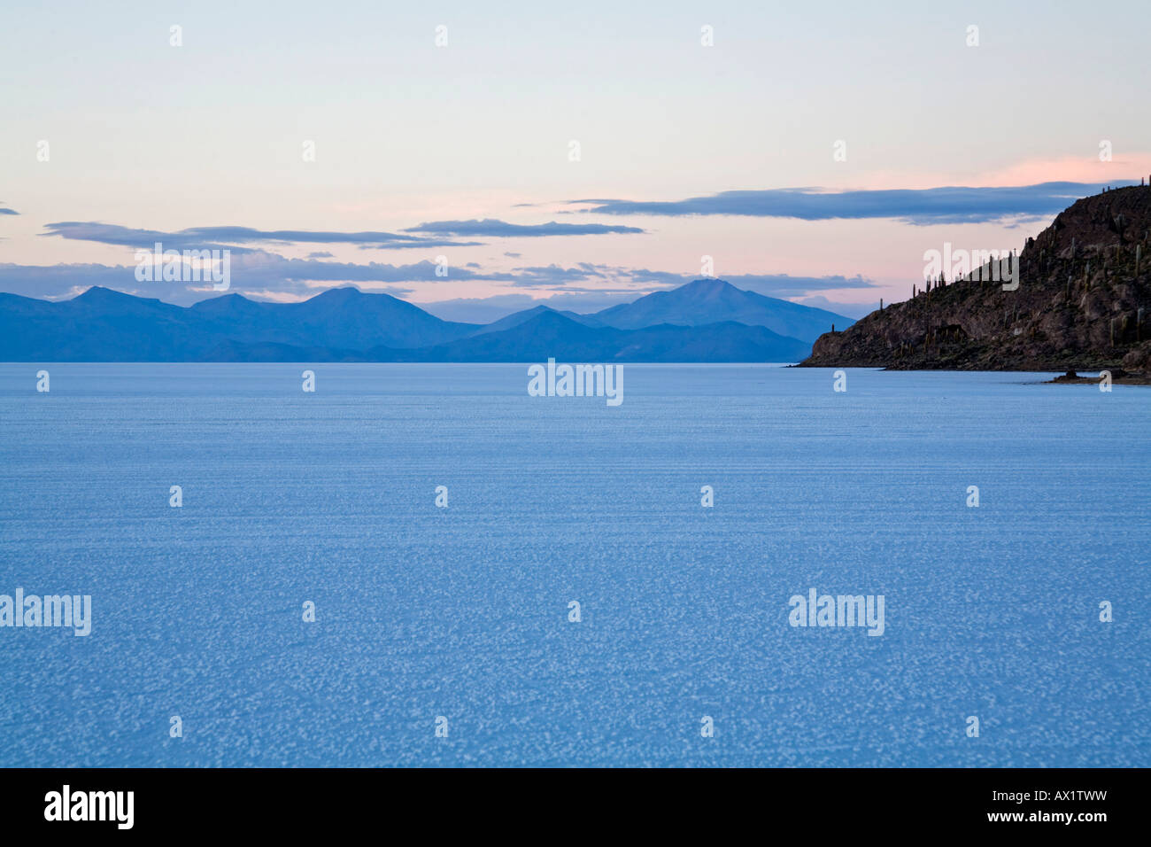 Island Isla Incahuasi at dawn, salt lake Salar de Uyuni, Altiplano, Bolivia, South America Stock Photo