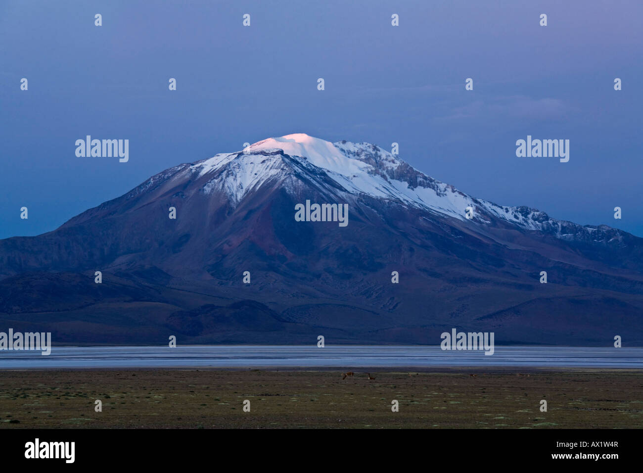 Salt lake Salar de Surire at sundown, national park Reserva Nacional Las Vicunas, Chile, South America Stock Photo