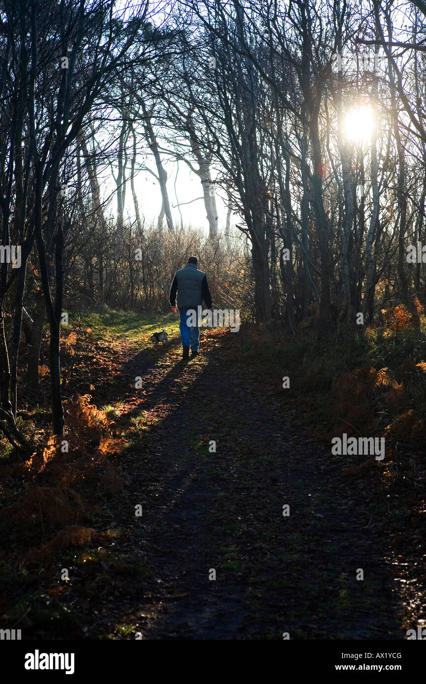 A man walking with his dog in the forest Stock Photo - Alamy