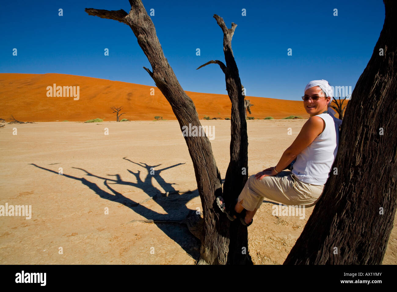 Woman sitting between tow tree trunks, Deadvlei, Namibia, Africa Stock Photo
