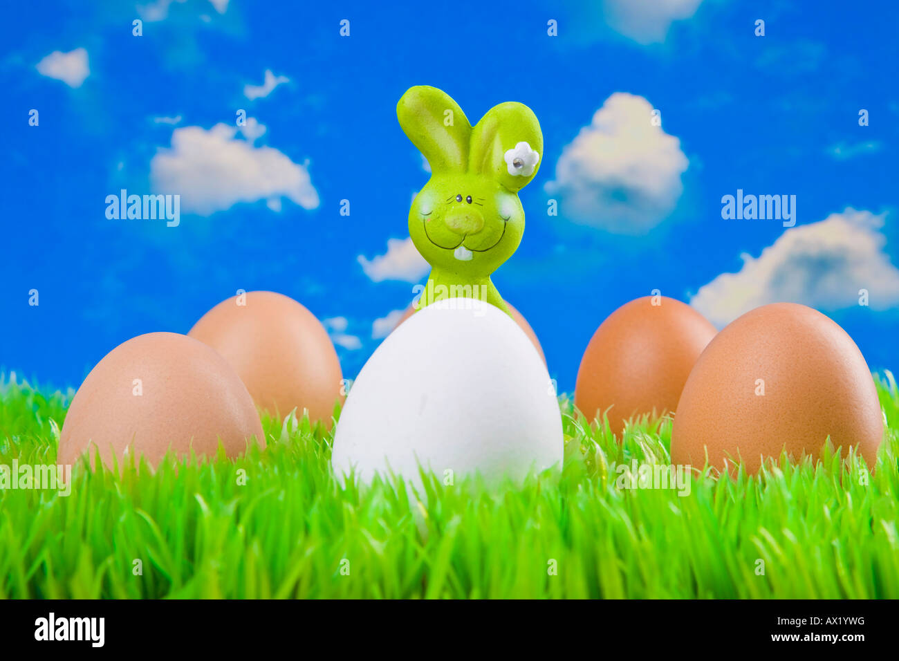 Easter bunny hiding behind eggs Stock Photo - Alamy