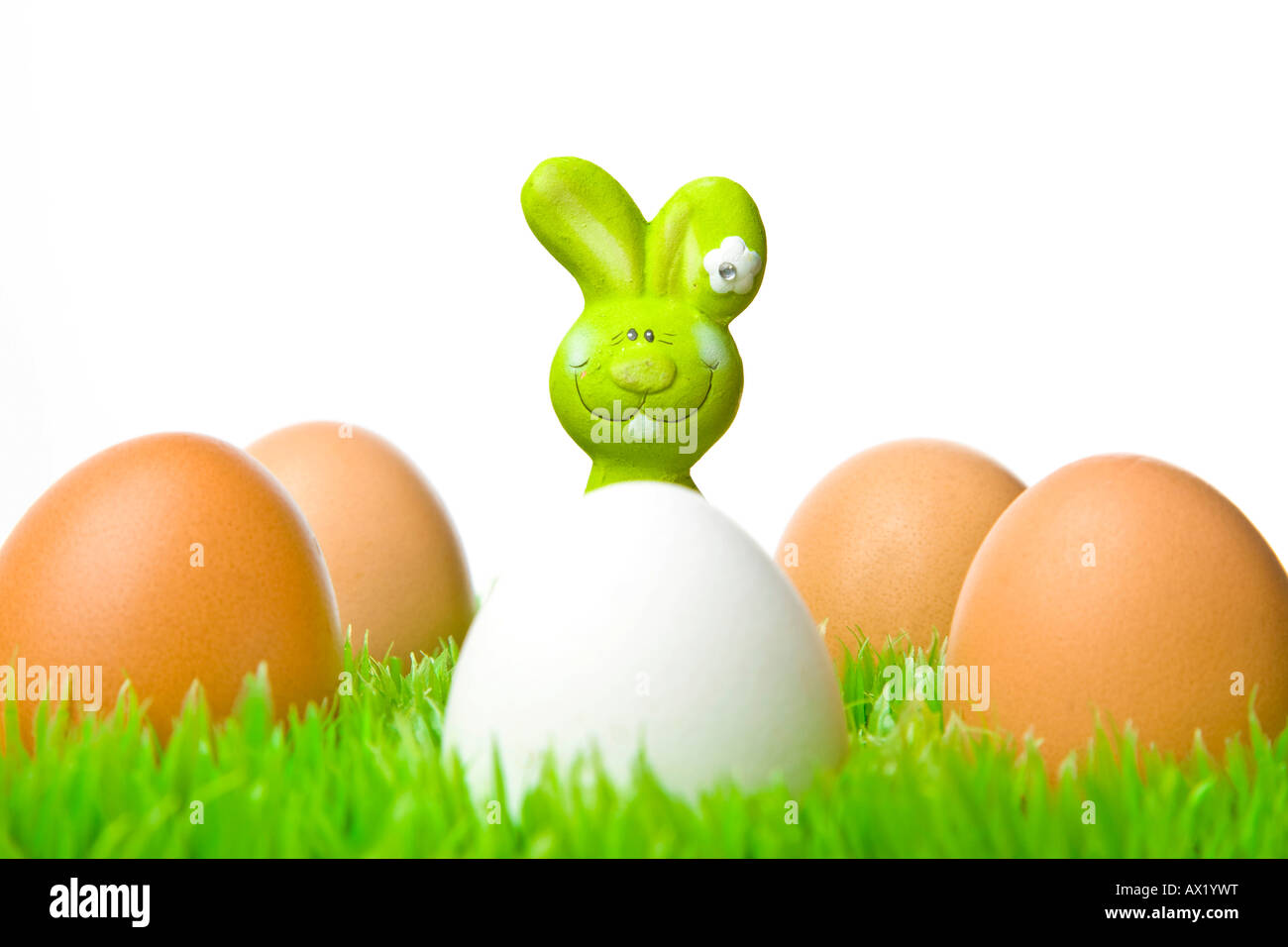Easter bunny hiding behind eggs Stock Photo Alamy