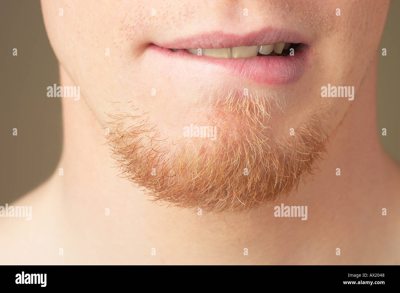 Man s mouth and whiskers Stock Photo