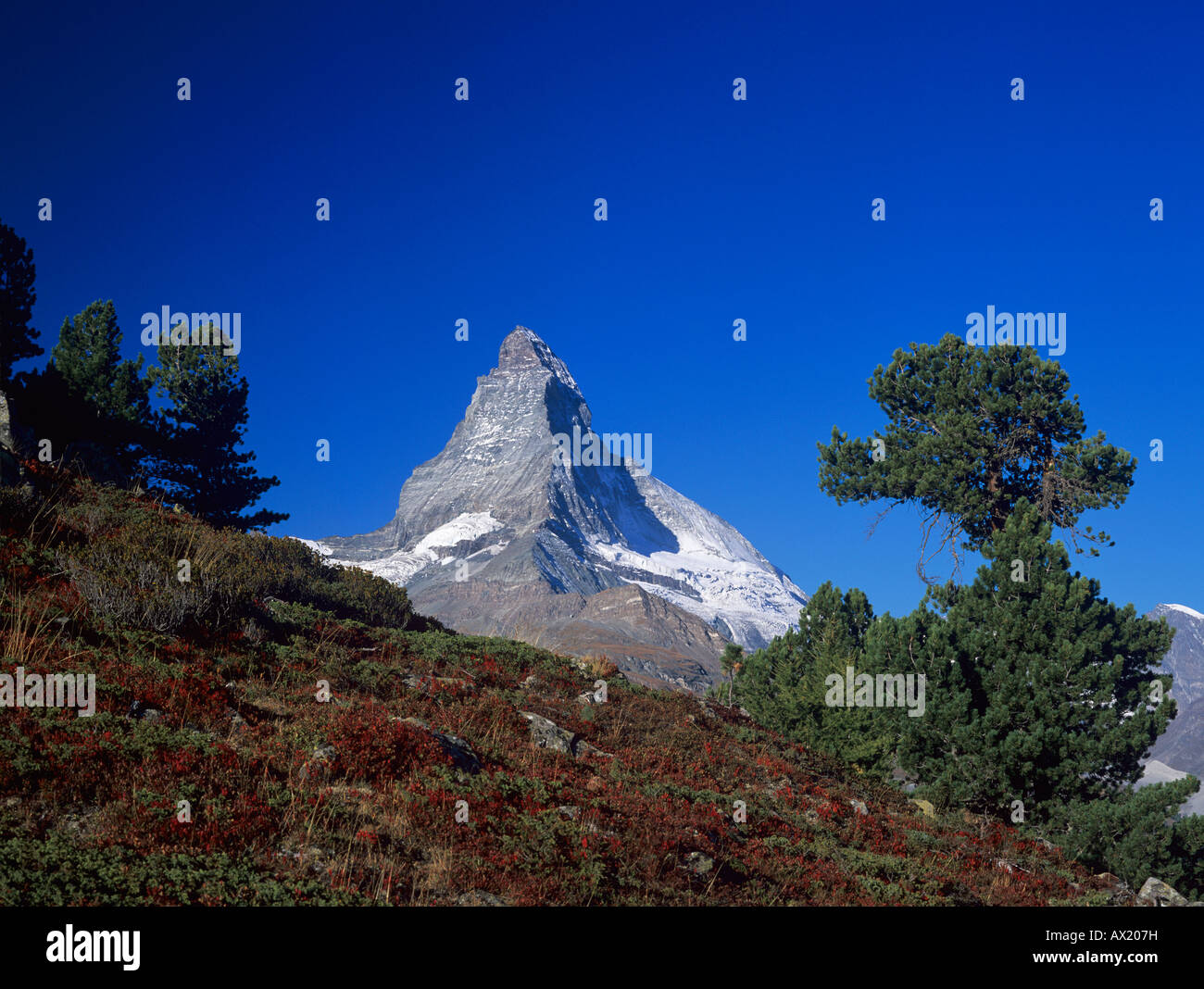 Matterhorn and fall colors Zermatt Swiss Alps Switzerland Stock Photo