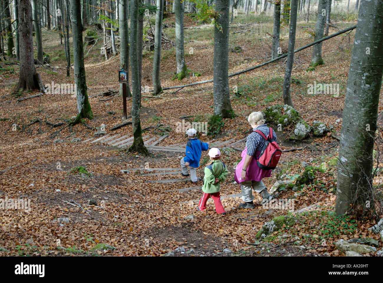 Family hiking through the forest in autumn Stock Photo