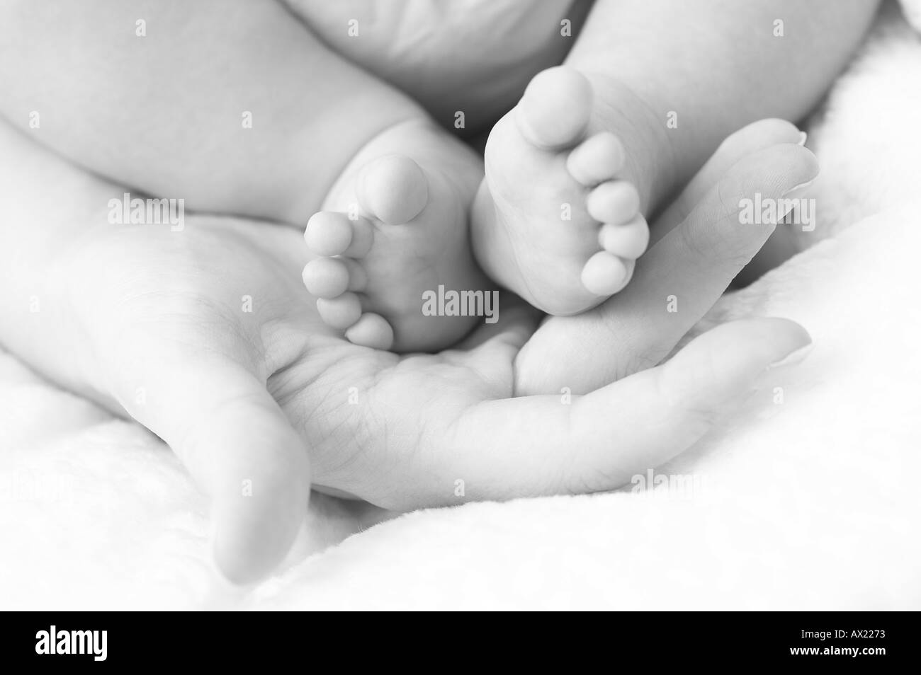 Baby s feet Stock Photo - Alamy