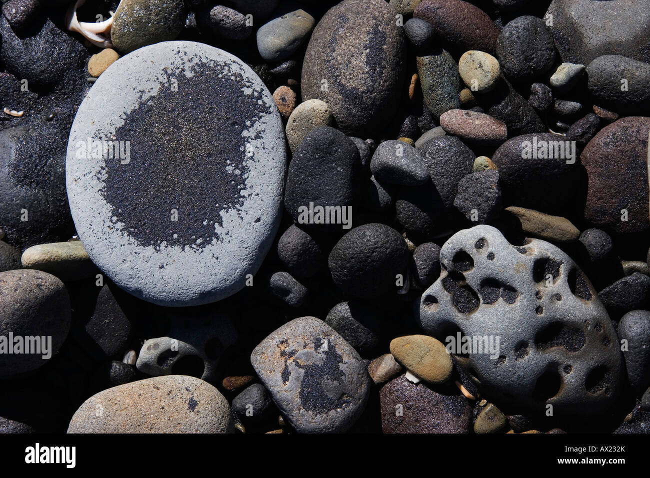 Pebbles, White Cliffs Beach, North Island, New Zealand, Oceania Stock Photo