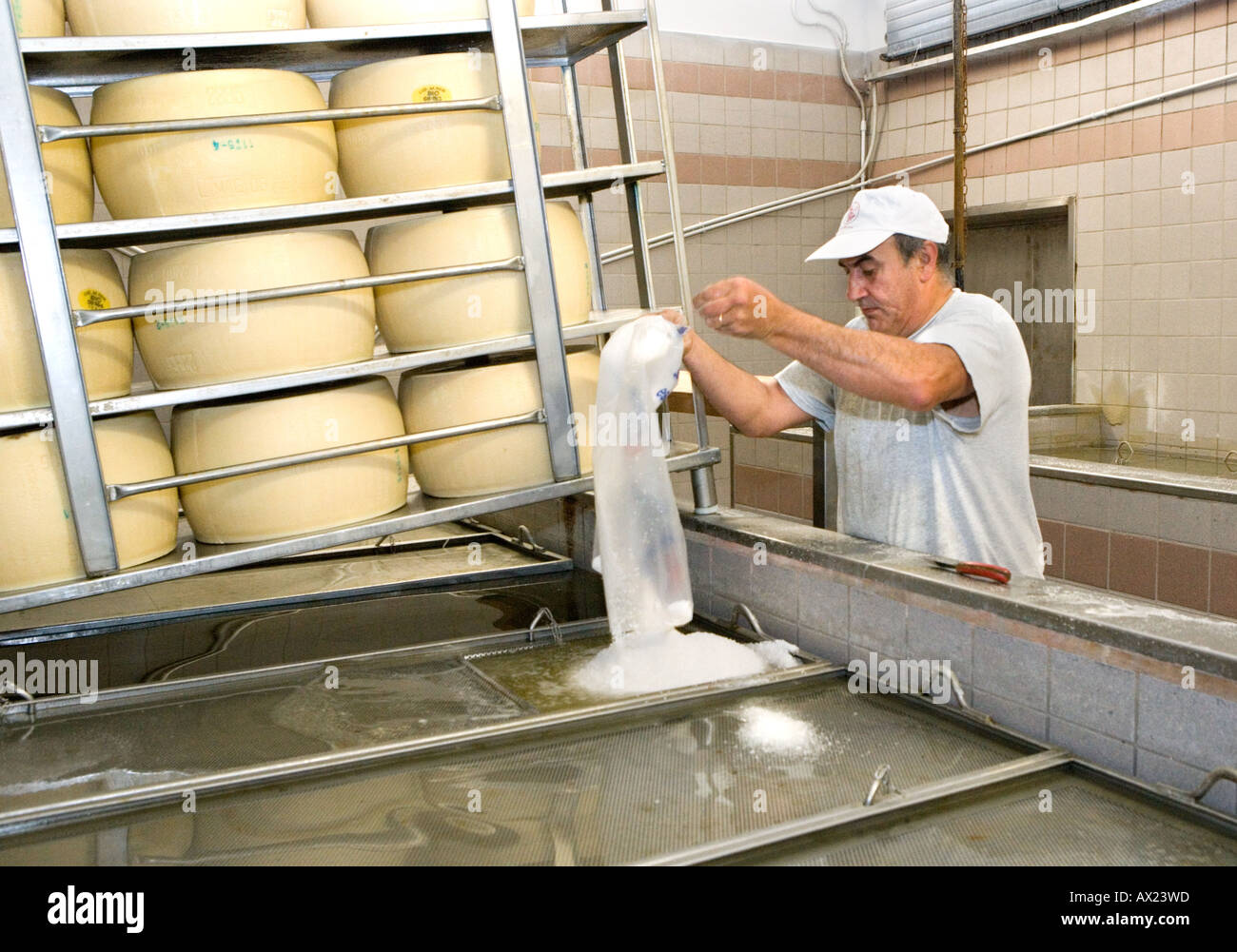 Making organic Parmesan Cheese - Adding sea salt Italy Stock Photo