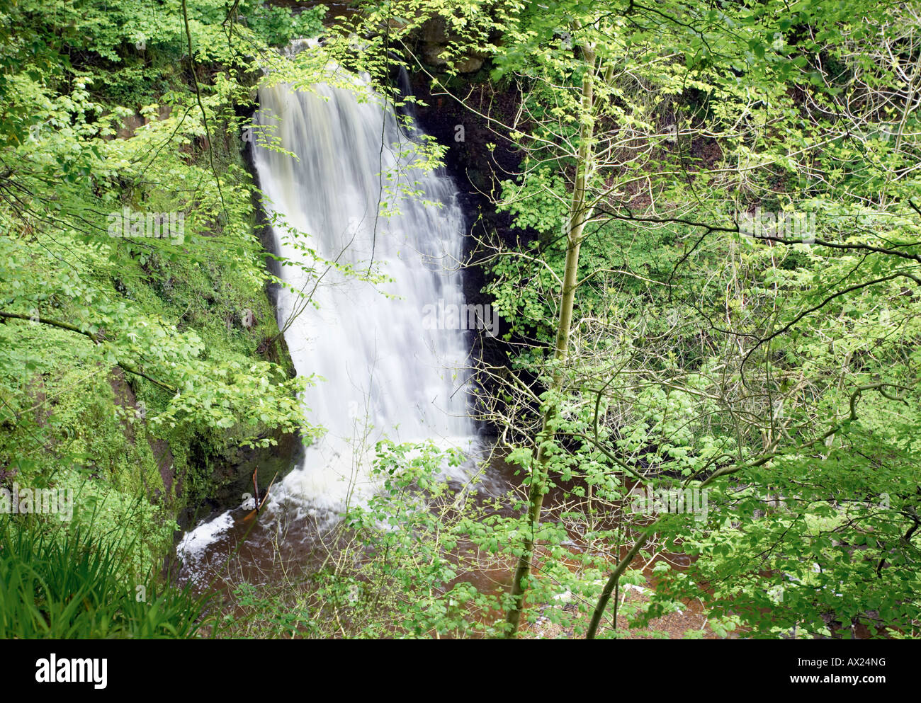 May Beck at Falling Foss waterfall in Sneaton Forest in the North Yorkshire Moors National Park near Goathland and Whitby, UK Stock Photo