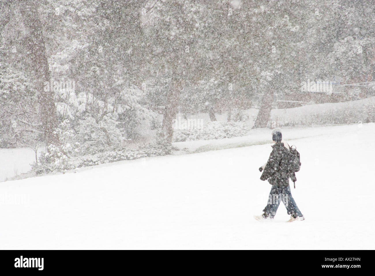 One Person walking in heavy snow fall, almost blizzard conditions Stock Photo