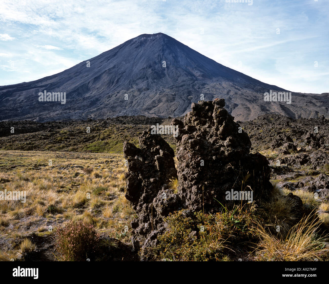 Tussock Grass (Chionochloa rubra) and lava rock with Mt. Ngauruhoe in the background, Tongariro Crossing, Tongariro National Pa Stock Photo
