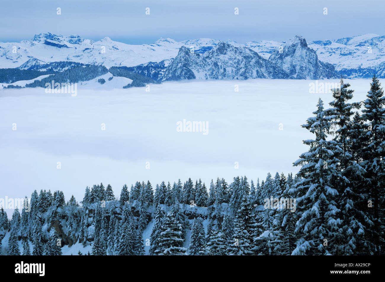 Swiss Alps Seen From Wildspitz Peak Unteraegeri Zug Switzerland Stock 