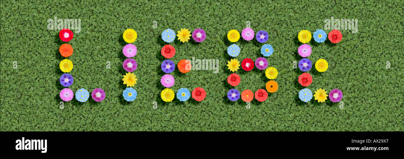 german word for love Liebe written with different colourful flowers Stock Photo