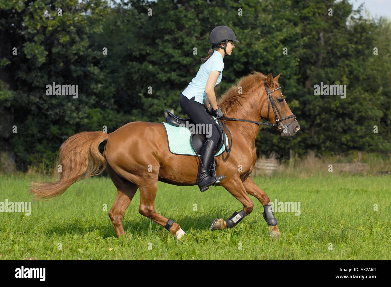 German girl riding horse hires stock photography and images Alamy