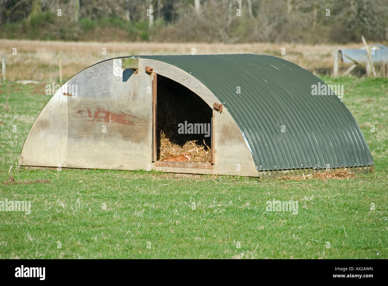 Stock photo of a galvanised metal pig Ark in a field The photo was taken in the Limousin region of France Stock Photo