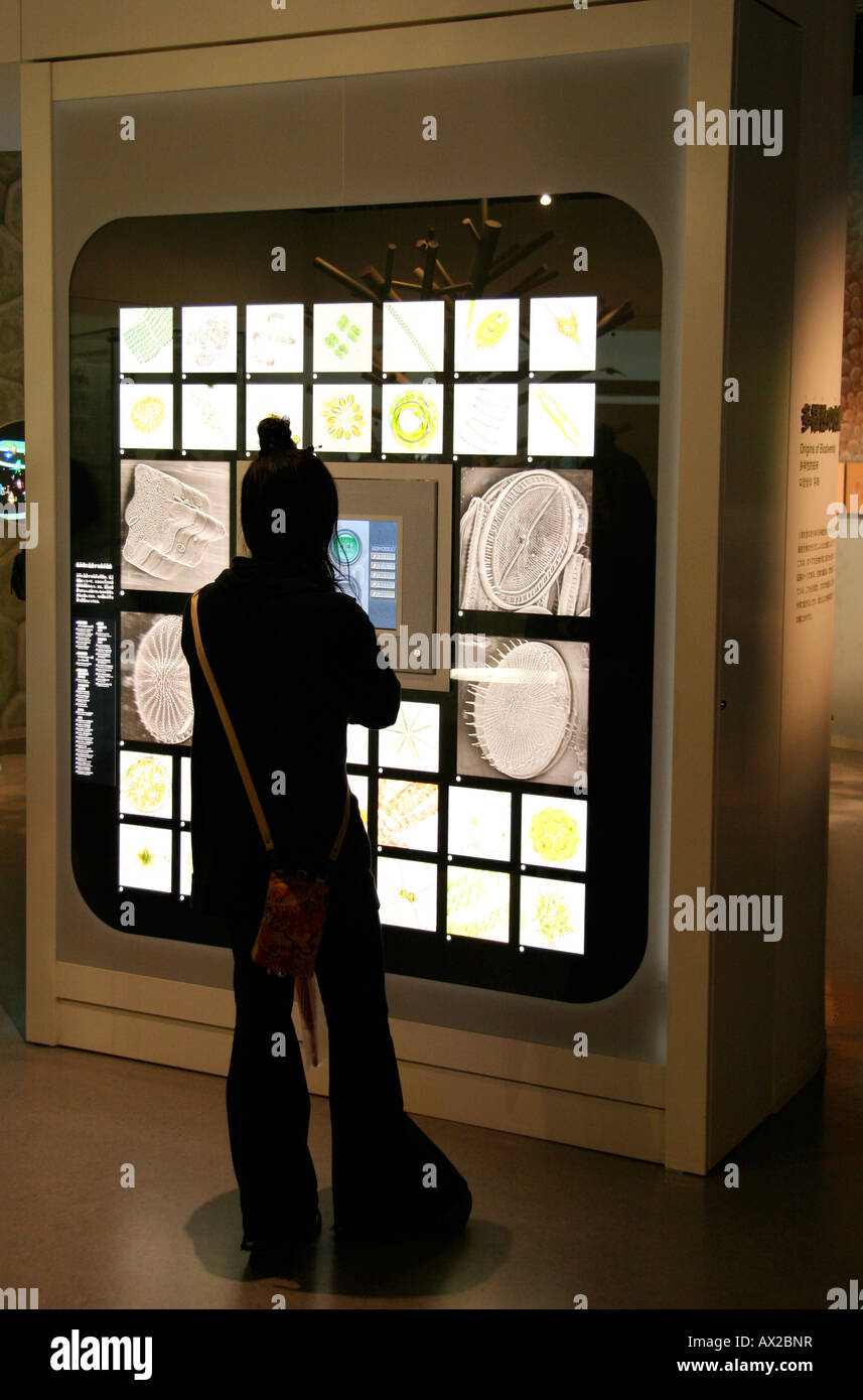 National Science Museum, Ueno Park, Tokyo, Japan Stock Photo Alamy