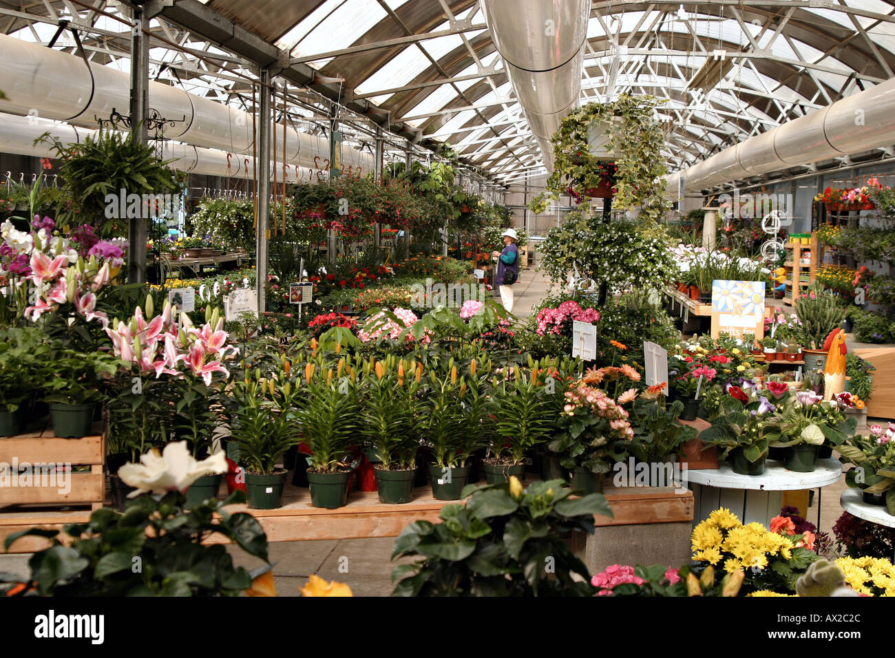 Commercial Greenhouse Edmonton Alberta Stock Photo Alamy