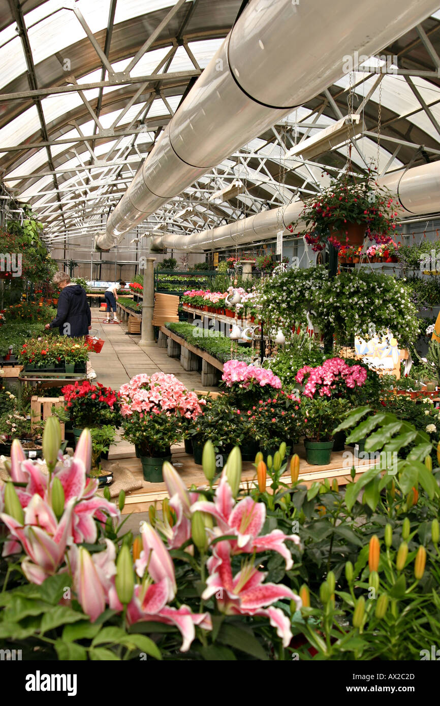 Commercial Greenhouse Edmonton Alberta Stock Photo Alamy