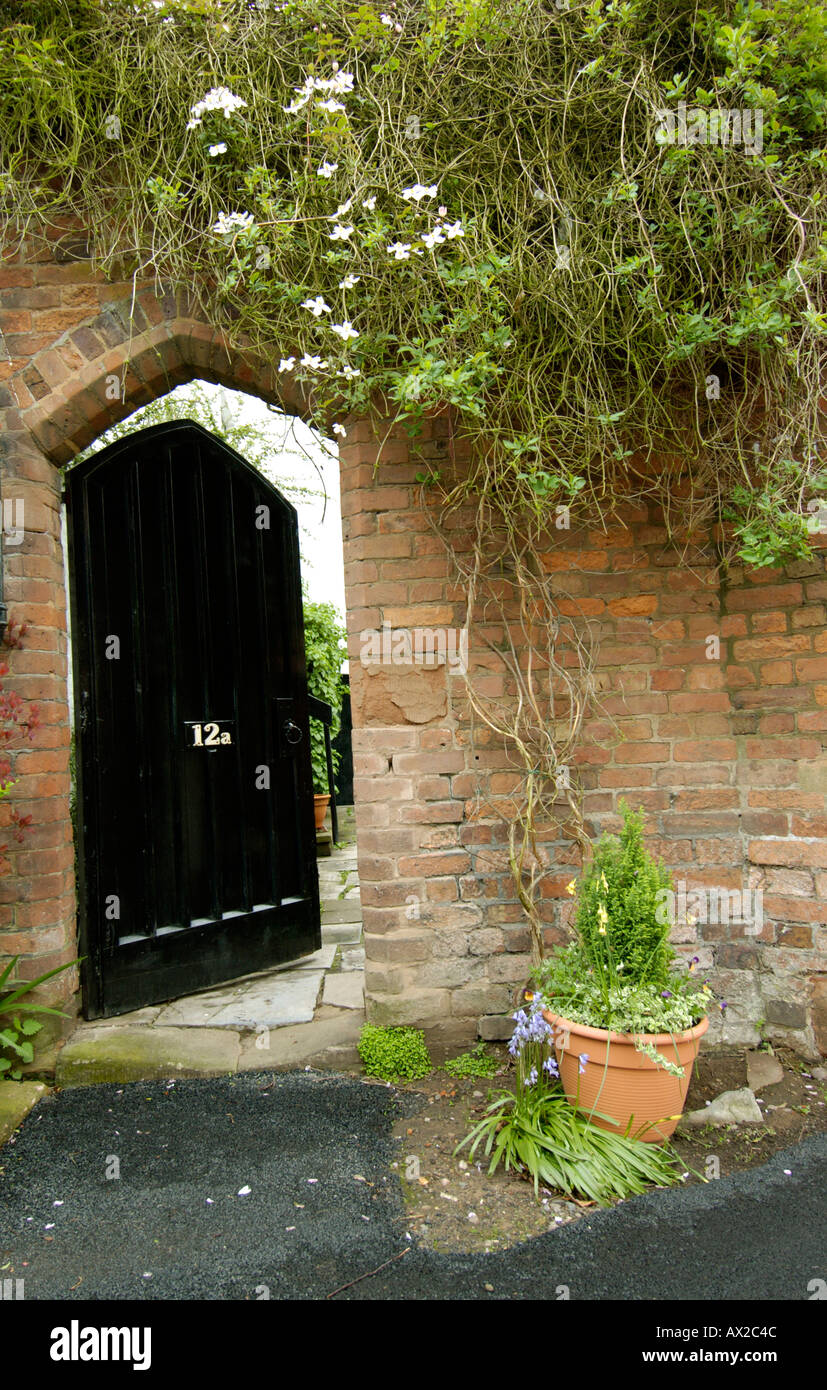 Door with overhanging foliage Stock Photo Alamy