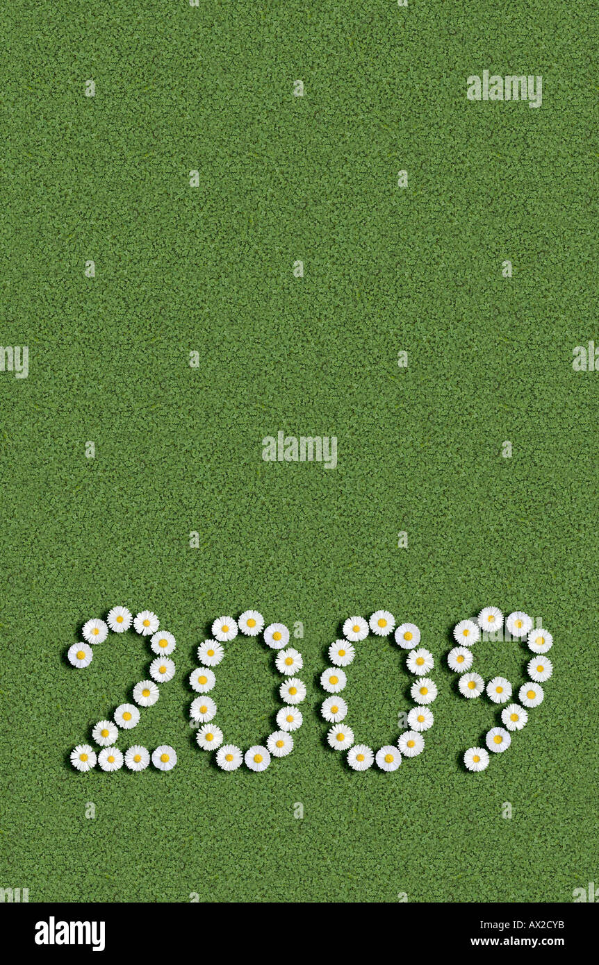 year 2009 written with flowers Stock Photo